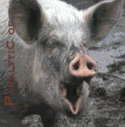 ...A Groovy Kind of Seasickness